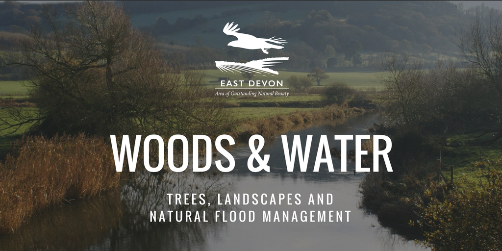 woods and water Visit Colyton